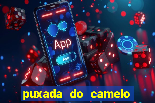 puxada do camelo jogo do bicho